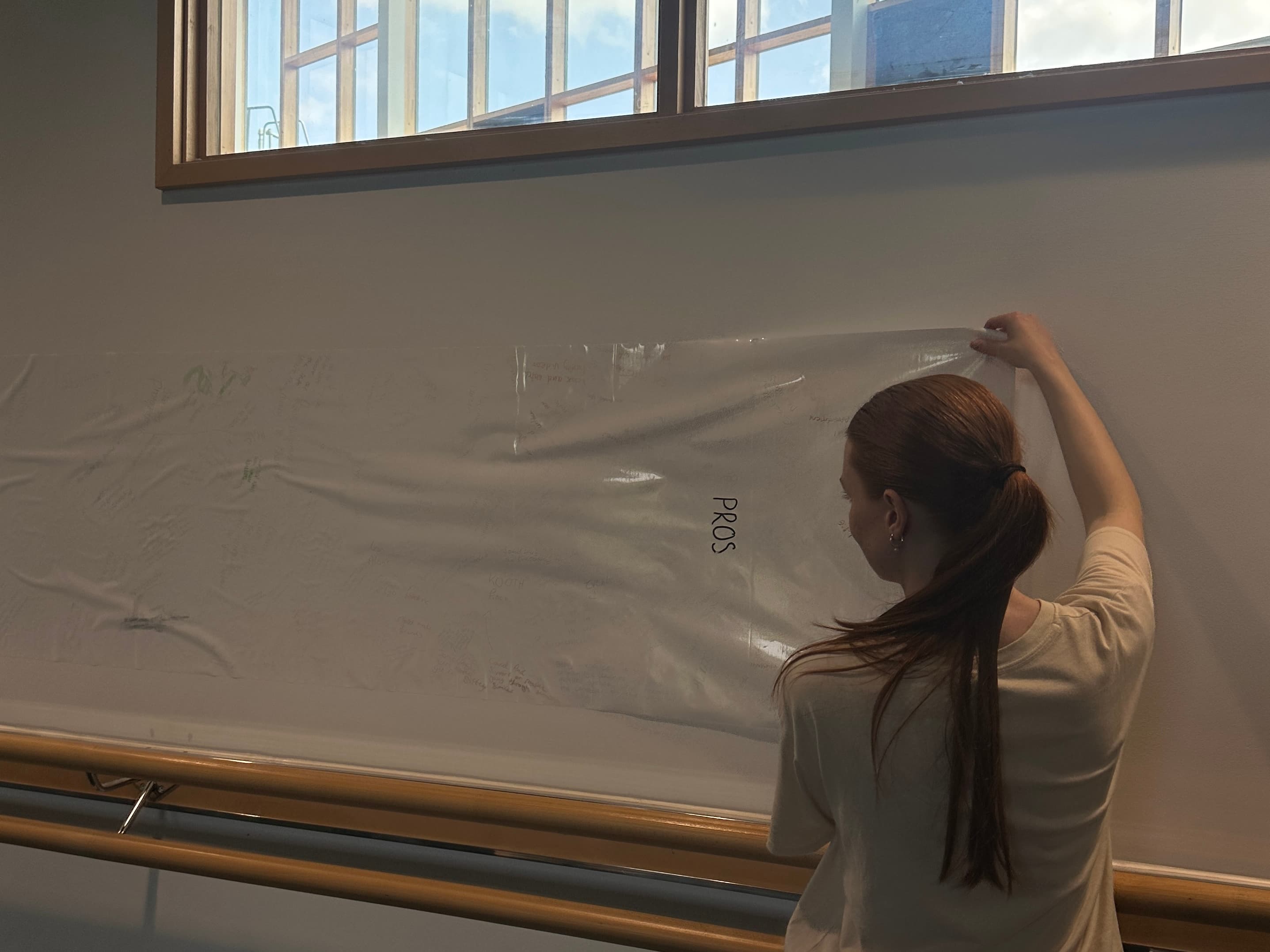 INTRODUCTION TO DEVISING FOR SOCIAL CHANGE